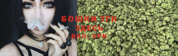 мдпв Билибино
