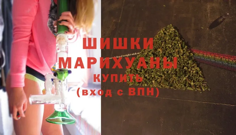 гидра   Буй  Шишки марихуана OG Kush 